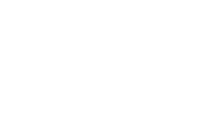 Datavisualisation